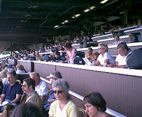 fans in box seats